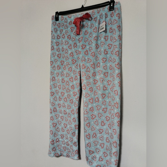 New Mint Hearts PJ Pants / Size 2X - Picture 2 of 4
